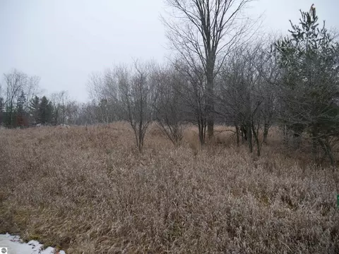 00 Linksview Way, Gladwin, MI 48624 photo 2