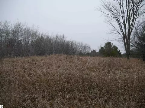 00 Linksview Way, Gladwin, MI 48624 photo 5