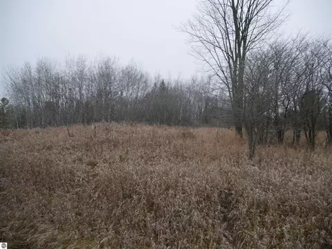 00 Linksview Way, Gladwin, MI 48624 photo 3