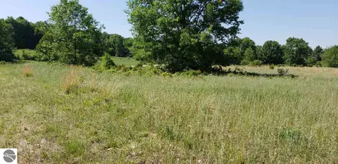 lot35 Alden Mdws, Alden, MI 49612
