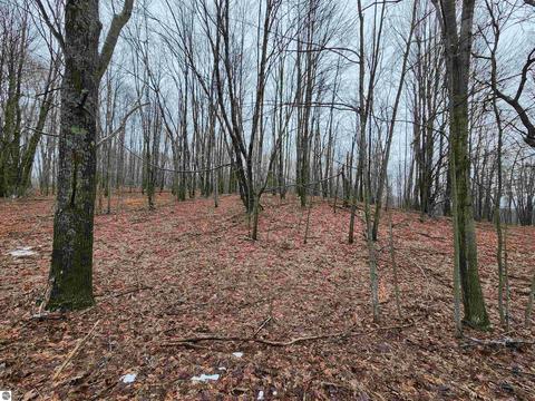 V/l W Ridge Circle, Leroy, MI 49655