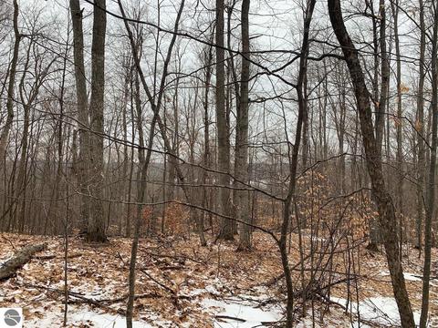 000 S Lime Lake Rd, Cedar, MI 49621 photo 19