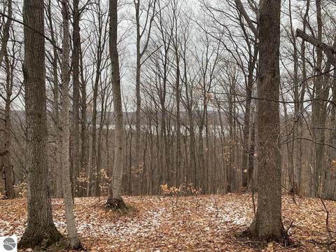 000 S Lime Lake Rd, Cedar, MI 49621 photo 27