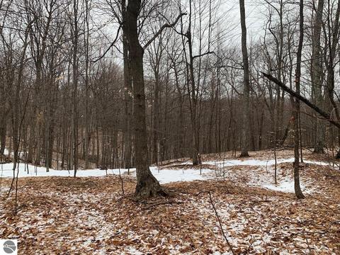 000 S Lime Lake Rd, Cedar, MI 49621 photo 28