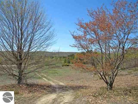 000 S Lime Lake Rd, Cedar, MI 49621 photo 8