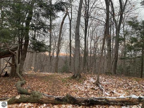 000 S Lime Lake Rd, Cedar, MI 49621 photo 51