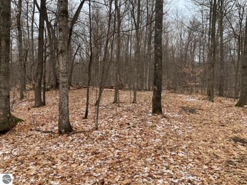 000 S Lime Lake Rd, Cedar, MI 49621 photo 70