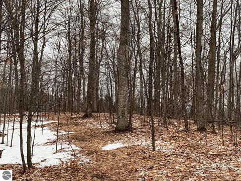 000 S Lime Lake Rd, Cedar, MI 49621 photo 26