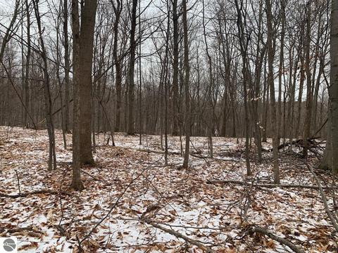 000 S Lime Lake Rd, Cedar, MI 49621 photo 50