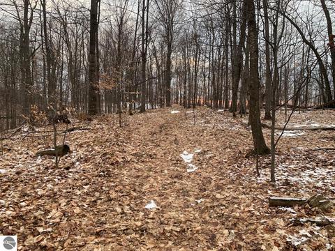 000 S Lime Lake Rd, Cedar, MI 49621 photo 66