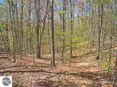 000 S Lime Lake Rd, Cedar, MI 49621 photo 3