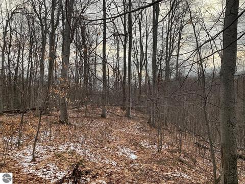 000 S Lime Lake Rd, Cedar, MI 49621 photo 55