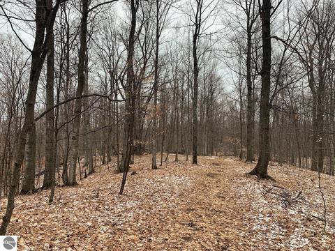 000 S Lime Lake Rd, Cedar, MI 49621 photo 24