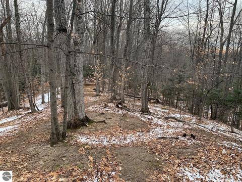 000 S Lime Lake Rd, Cedar, MI 49621 photo 54