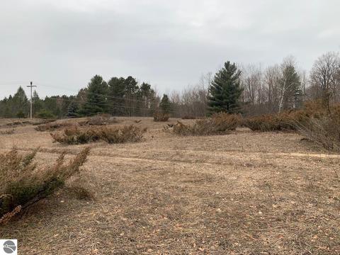 000 S Lime Lake Rd, Cedar, MI 49621 photo 9