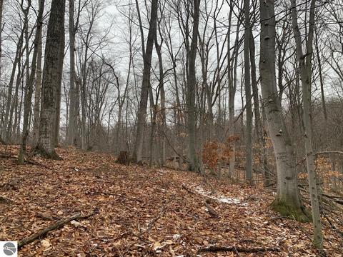 000 S Lime Lake Rd, Cedar, MI 49621 photo 35