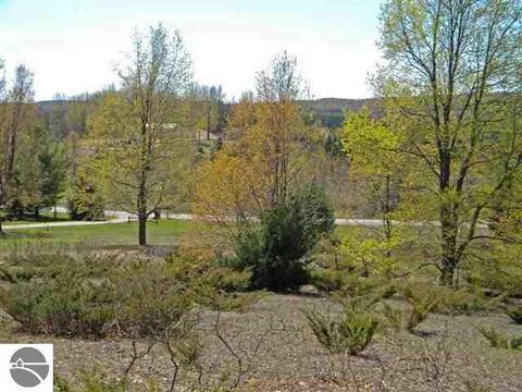 000 S Lime Lake Rd, Cedar, MI 49621 photo 5