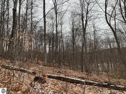 000 S Lime Lake Rd, Cedar, MI 49621 photo 40