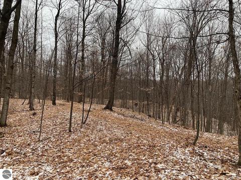 000 S Lime Lake Rd, Cedar, MI 49621 photo 23