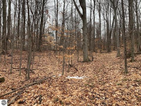 000 S Lime Lake Rd, Cedar, MI 49621 photo 16