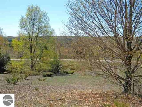 000 S Lime Lake Rd, Cedar, MI 49621 photo 6
