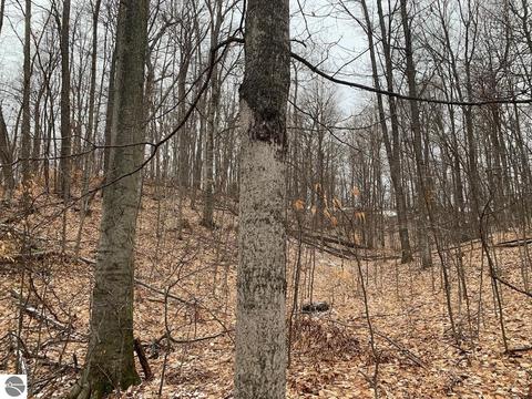 000 S Lime Lake Rd, Cedar, MI 49621 photo 32