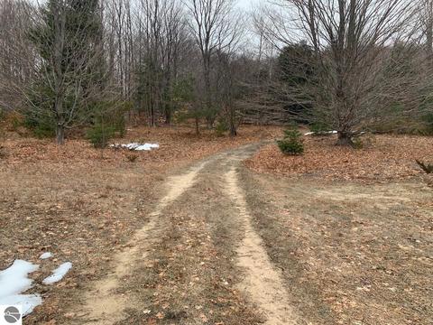 000 S Lime Lake Rd, Cedar, MI 49621 photo 13