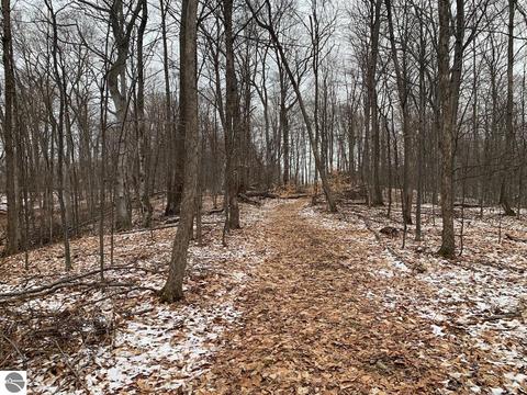 000 S Lime Lake Rd, Cedar, MI 49621 photo 49