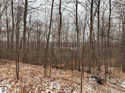 000 S Lime Lake Rd, Cedar, MI 49621 photo 22