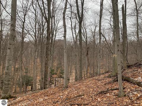 000 S Lime Lake Rd, Cedar, MI 49621 photo 36