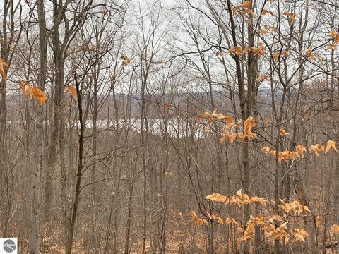 000 S Lime Lake Rd, Cedar, MI 49621 photo 25
