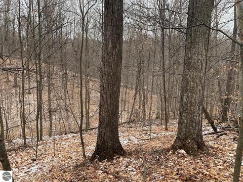 000 S Lime Lake Rd, Cedar, MI 49621 photo 30