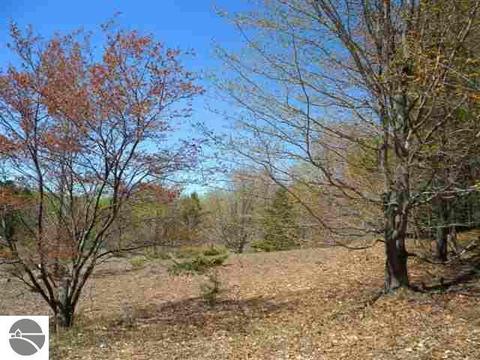 000 S Lime Lake Rd, Cedar, MI 49621 photo 7
