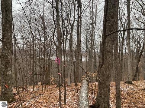 000 S Lime Lake Rd, Cedar, MI 49621 photo 29