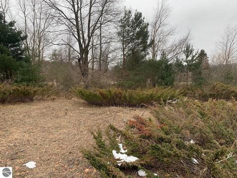 000 S Lime Lake Rd, Cedar, MI 49621 photo 11