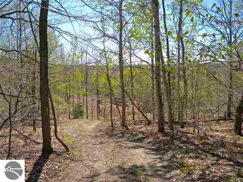000 S Lime Lake Rd, Cedar, MI 49621 photo 4