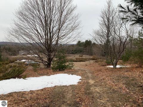 000 S Lime Lake Rd, Cedar, MI 49621 photo 14