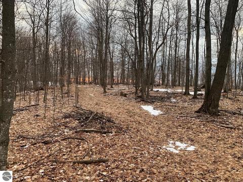 000 S Lime Lake Rd, Cedar, MI 49621 photo 65