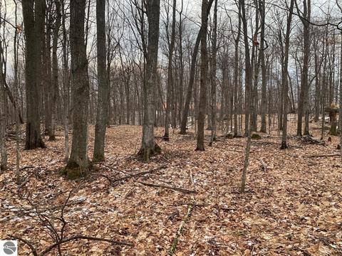 000 S Lime Lake Rd, Cedar, MI 49621 photo 59