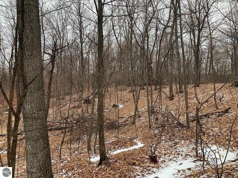 000 S Lime Lake Rd, Cedar, MI 49621 photo 20