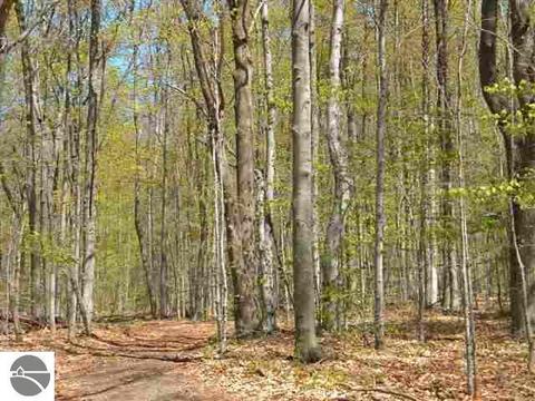 000 S Lime Lake Rd, Cedar, MI 49621 photo 2