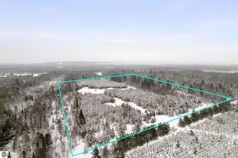 7383 Nowak Rd, Vanderbilt, MI 49795 photo 36