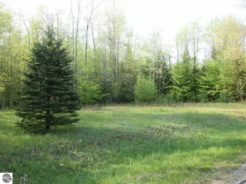 00 Spring Valley Dr, Cadillac, MI 49601