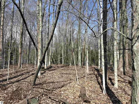 Tbd Lore Road, Ellsworth, MI 49729 photo 6