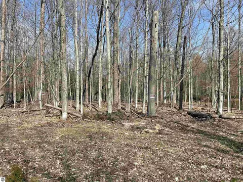Tbd Lore Road, Ellsworth, MI 49729 photo 2