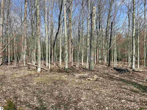 Tbd Lore Road, Ellsworth, MI 49729 photo 10