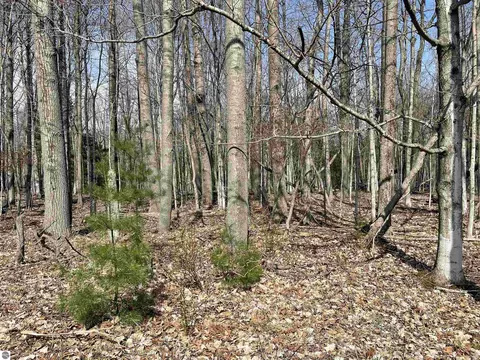 Tbd Lore Road, Ellsworth, MI 49729 photo 9