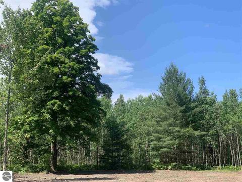 Lot 13 Metzgar Road, Kalkaska, MI 49646