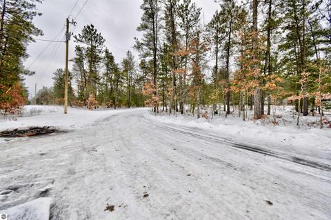 3625 E M-72, Grayling, MI 49738 photo 12