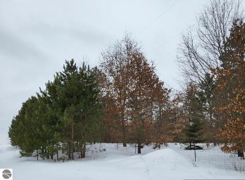 Roop Road, Kingsley, MI 49649